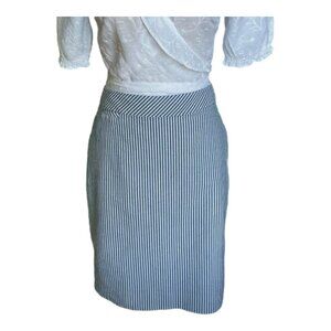 Charming Blue and White Seersucker Stripe Pencil Skirt by J.Crew - Size 4